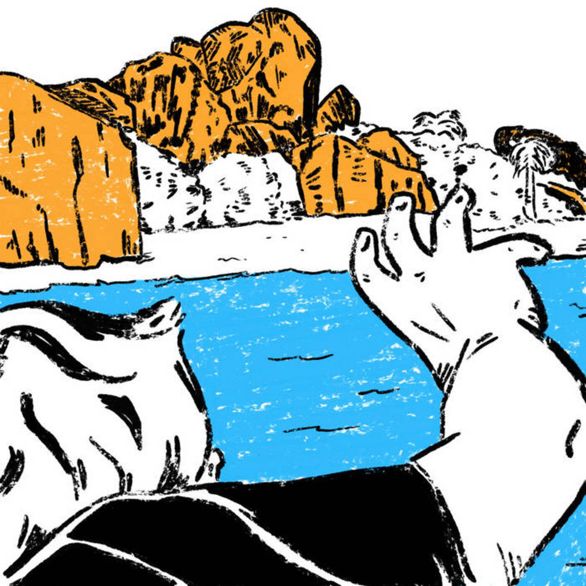 COMA REGALIA • Il Evectes • LP