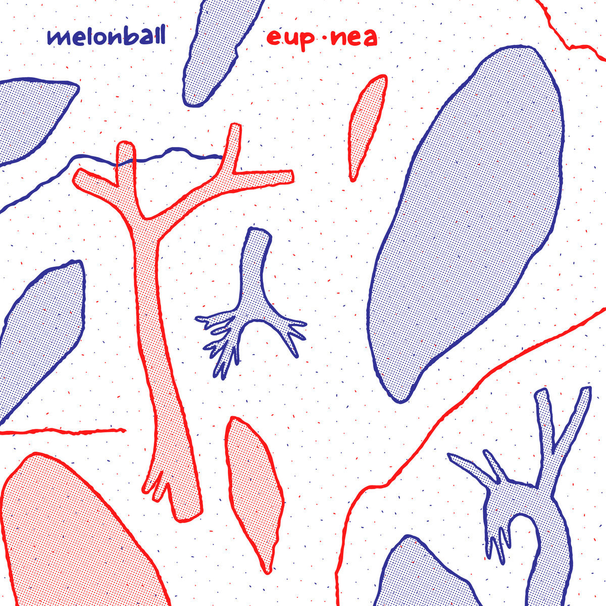 MELONBALL • Eup•nea  • 12"
