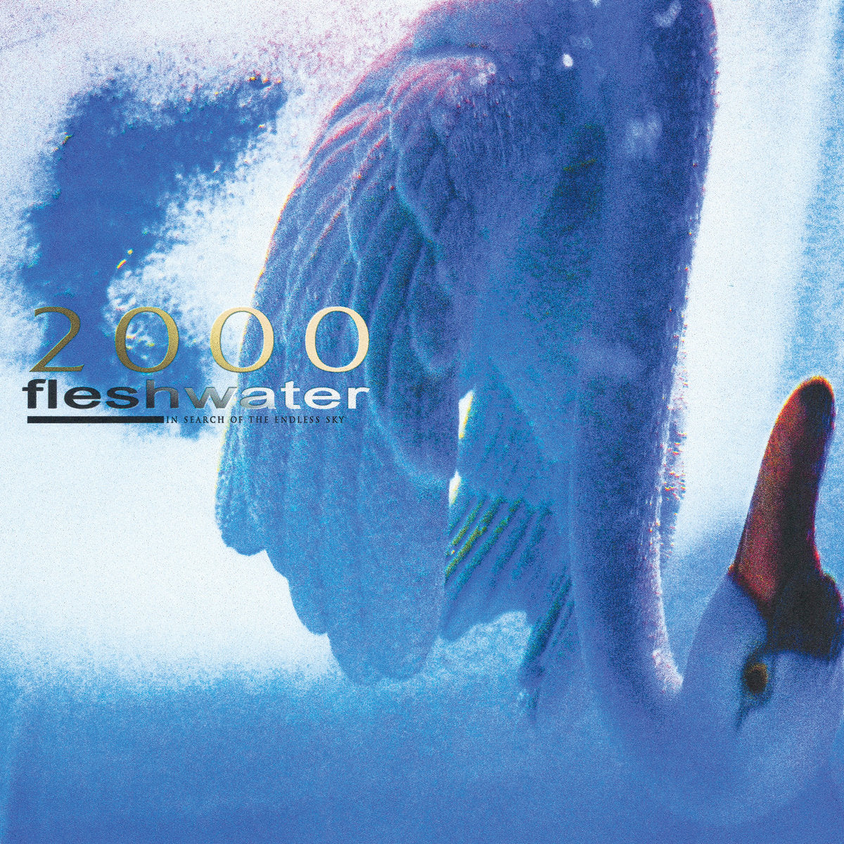 FLESHWATER • 2000: In Search Of The Endless Sky • LP