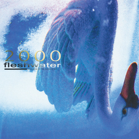 FLESHWATER • 2000: In Search Of The Endless Sky • LP