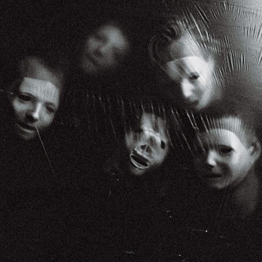 DITZ • The Great Regression • LP