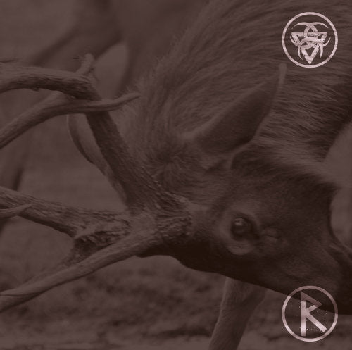 GRIEVED / RUNES • Split • 7"