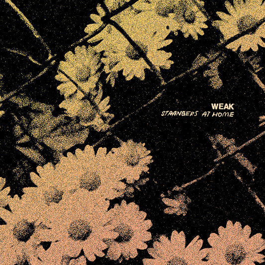 WEAK • Strangers At Home • LP