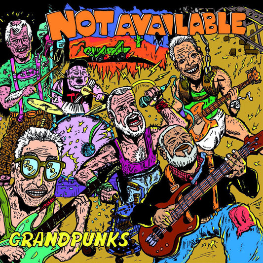 NOT AVAILABLE • Grandpunks • LP