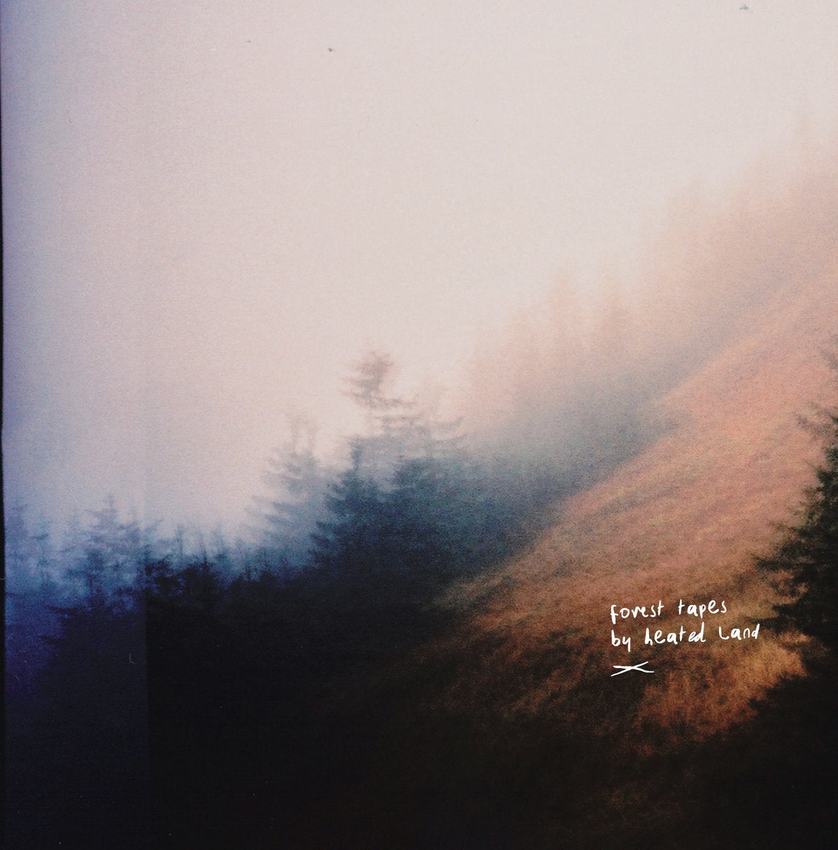 HEATED LAND • Forest Tapes • LP