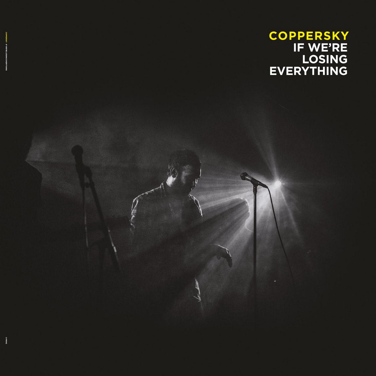 COPPERSKY • If We're Losing Everything • LP