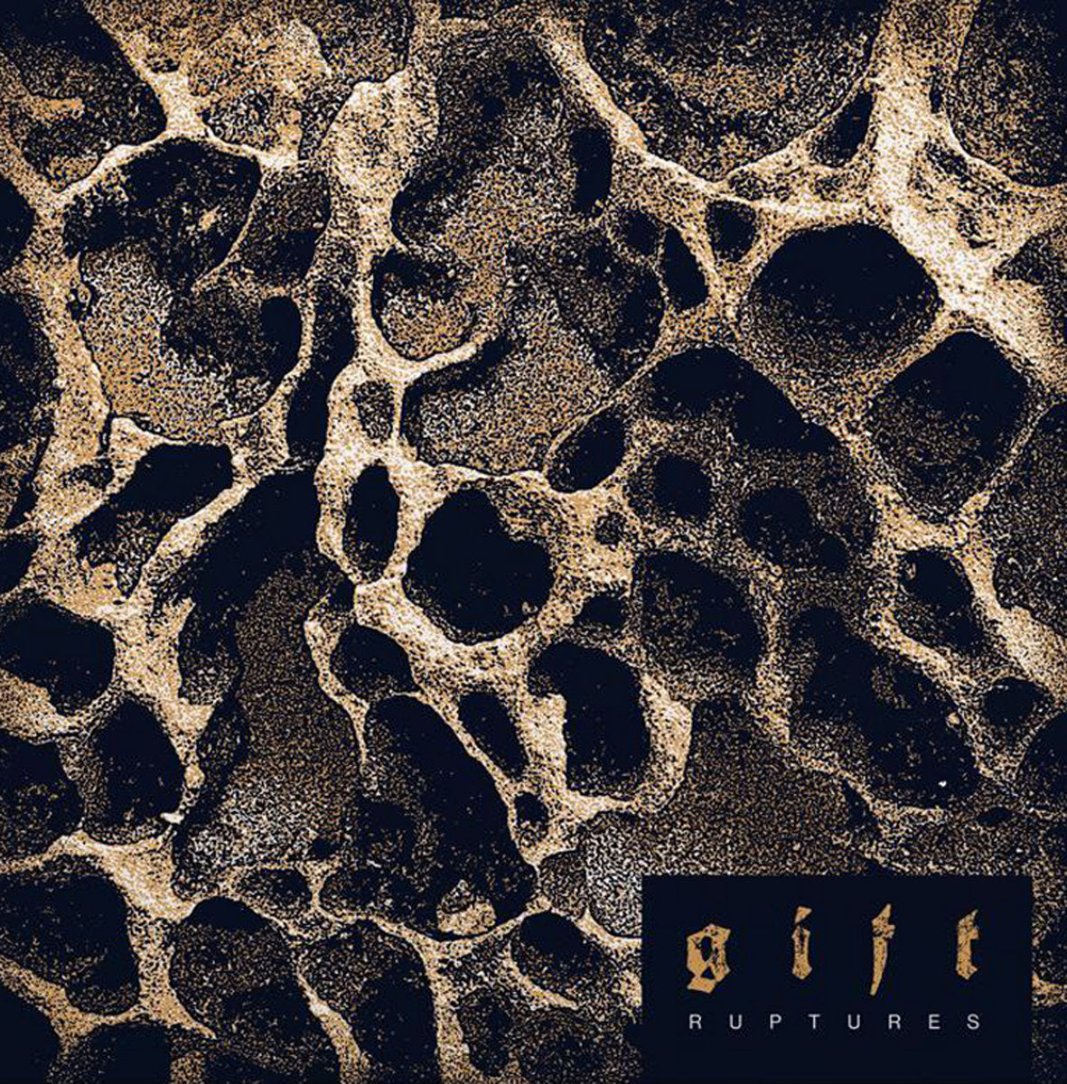 G I F T • Ruptures • LP