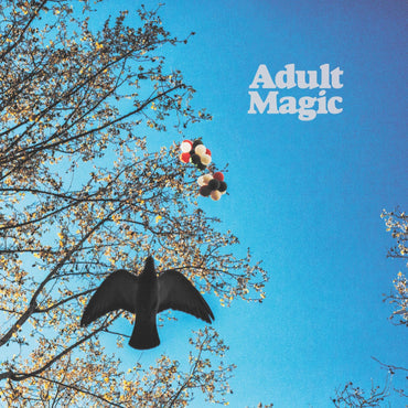 ADULT MAGIC • S/T • LP