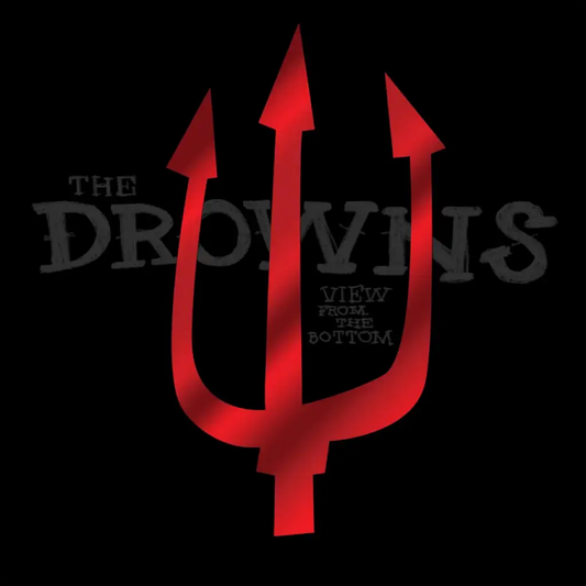 THE DROWNS • View From The Bottom • LP