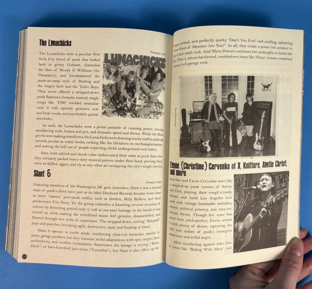 PUNK WOMEN • 40 Years of Musicians Who Built Punk Rock • Book