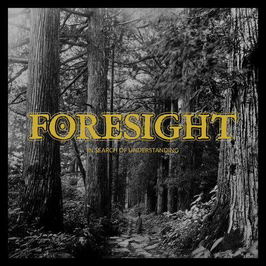 FORESIGHT • In Search Of Understanding • LP