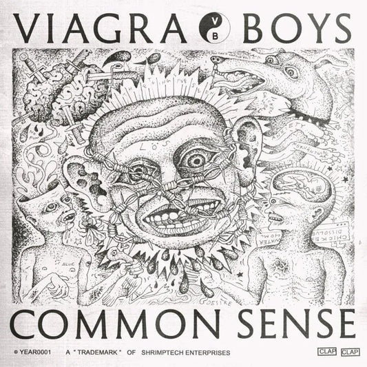 VIAGRA BOYS • Common Sense • LP