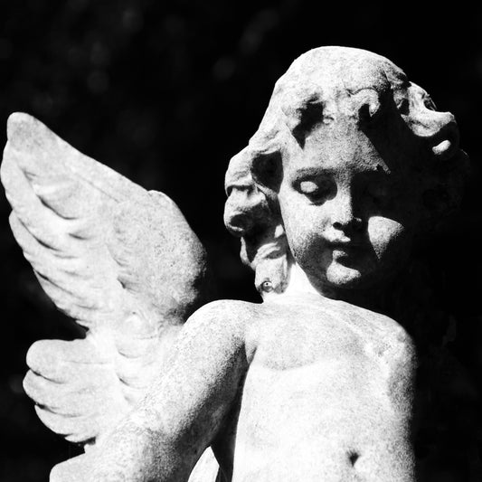 COLD CAVE • Passion Depression • LP • Pre-Order