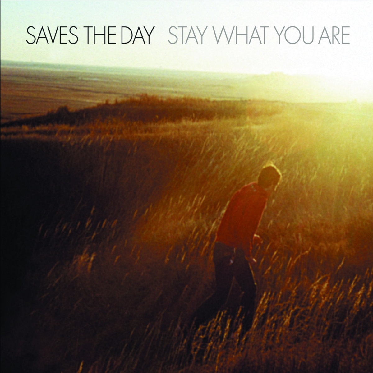 SAVES THE DAY • Stay What You Are • 2x10"