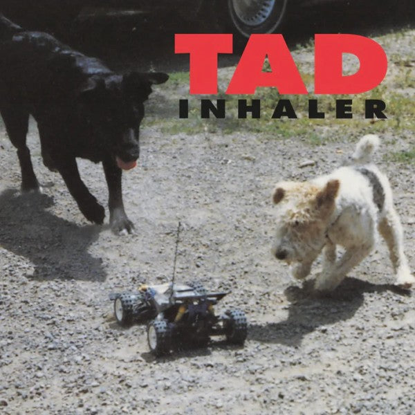 TAD • Inhaler • LP