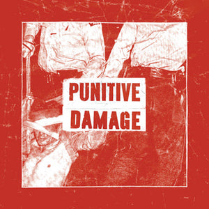 PUNITIVE DAMAGE • Strike Back • 7"