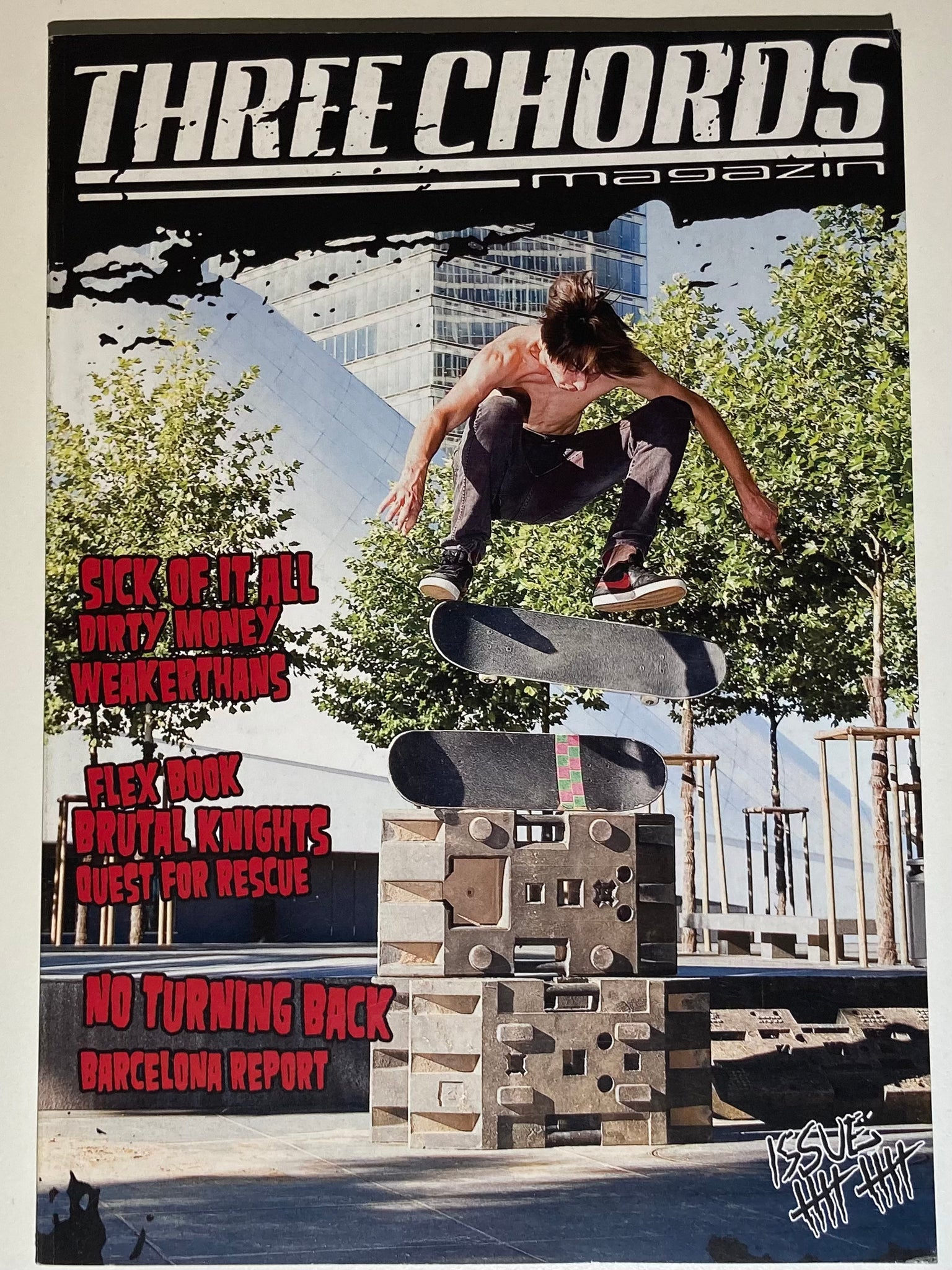 THREE CHORDS • Magazin • Punk/HC/Skate Fanzine