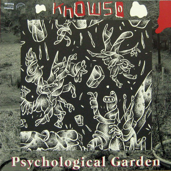 KNOWSO • Rare Auld Trip / Psychological Garden • 12"EP