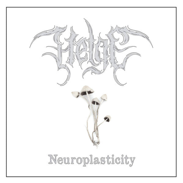 HELGE • Neuroplasticity • LP