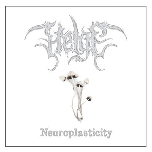 HELGE • Neuroplasticity • LP