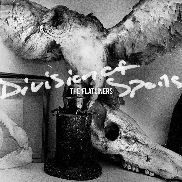 THE FLATLINERS • Division Of Spoils • DoLP