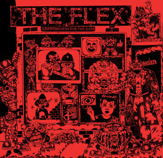 THE FLEX • Chewing Gum For The Ears • LP