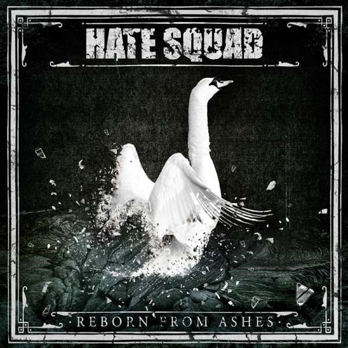 HATE SQUAD • Reborn From Ashes • LP