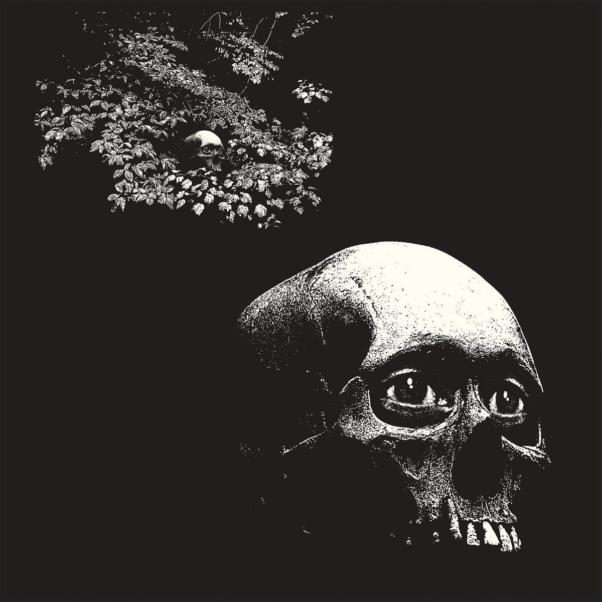 OSEES • A Foul Form • LP
