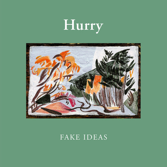 HURRY • Fake Ideas • LP