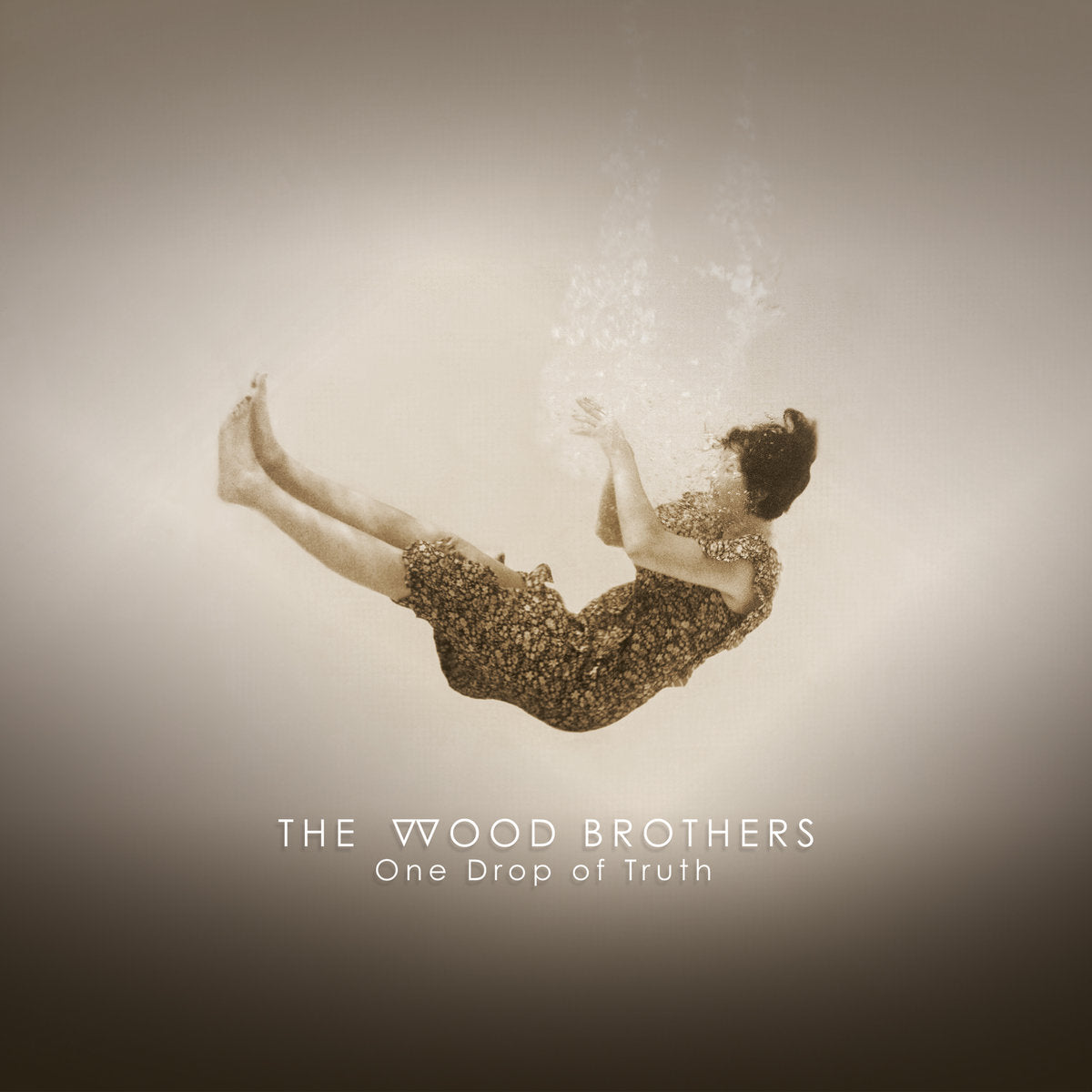 THE WOOD BROTHERS • One Drop Of Truth • LP