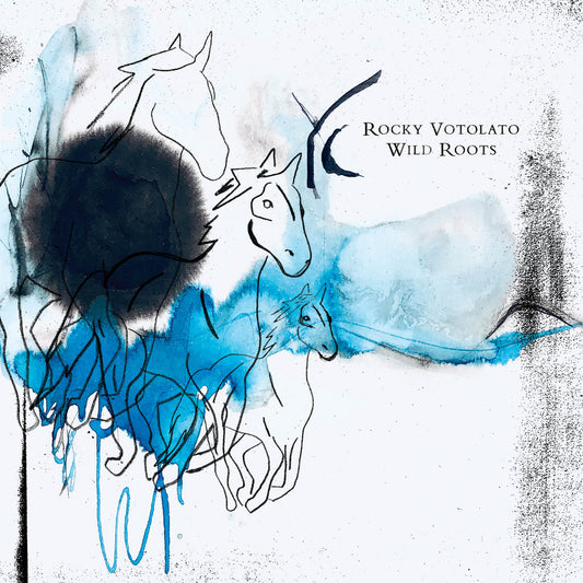 ROCKY VOTOLATO • Wild Roots • LP