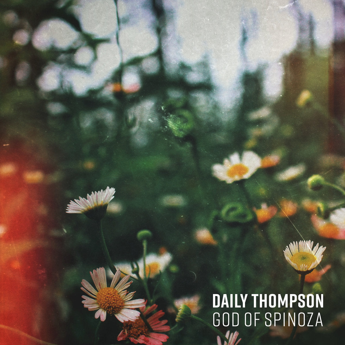 DAILY THOMPSON • God Of Spinoza • LP