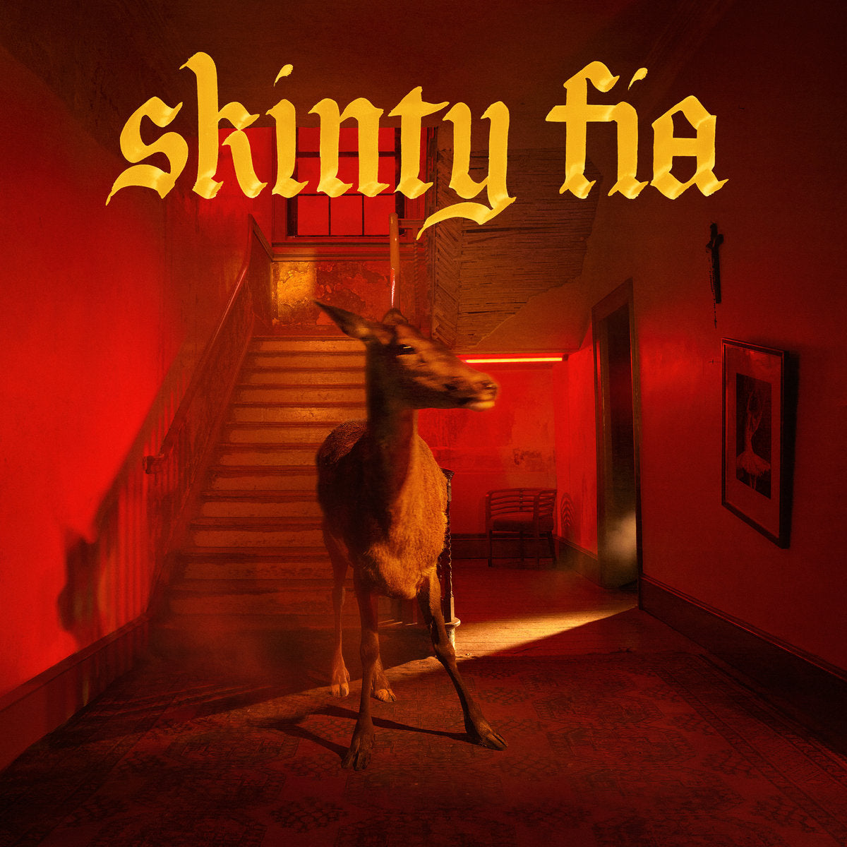 FONTAINES D.C. • Skinty Fia • LP/DoLP