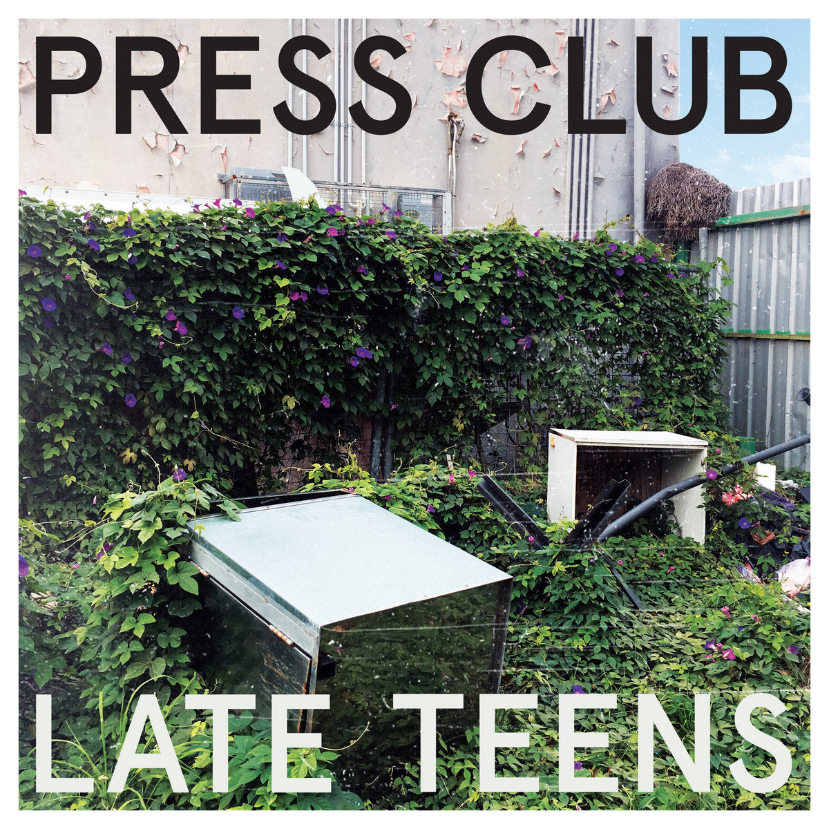 PRESS CLUB • Late Teens (hand numbered, Half Clear/Half Mint) • LP