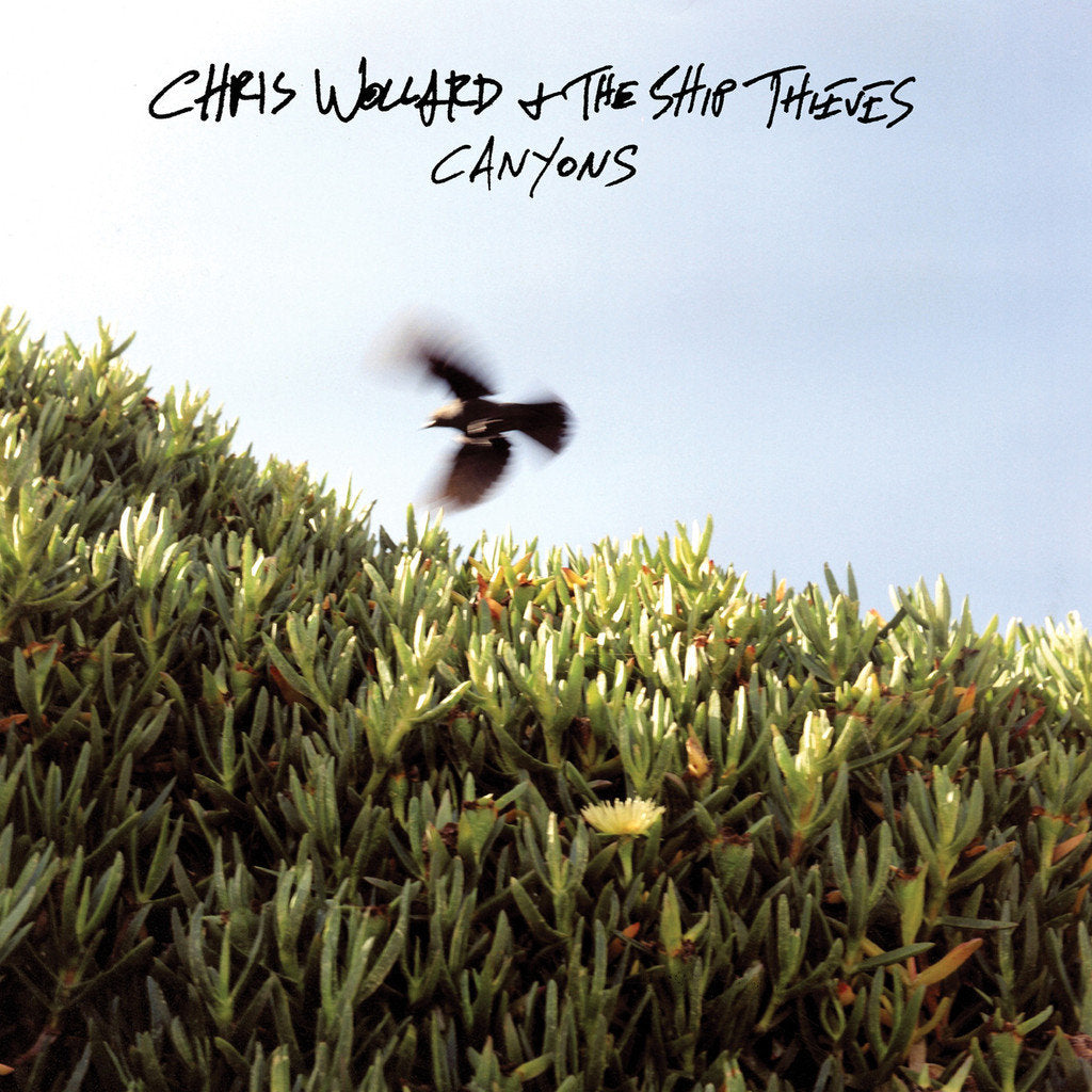 CHRIS WOLLARD AND THE SHIP THIEVES  • Canyons • LP