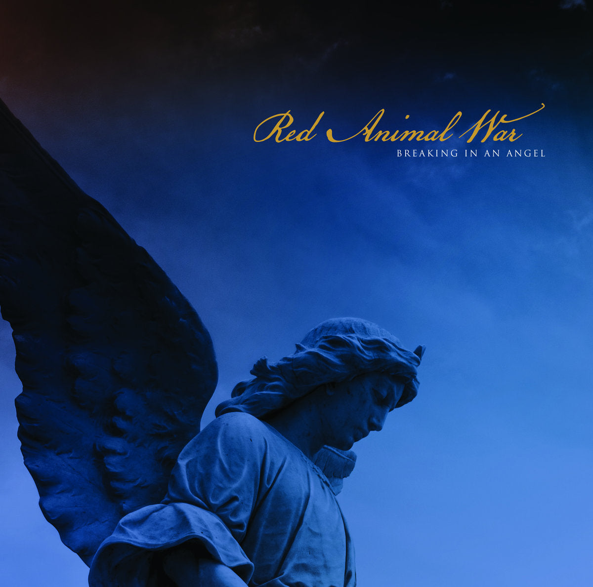 RED ANIMAL WAR • Breaking In An Angel (Blue w/ Orange Marble Vinyl) • LP