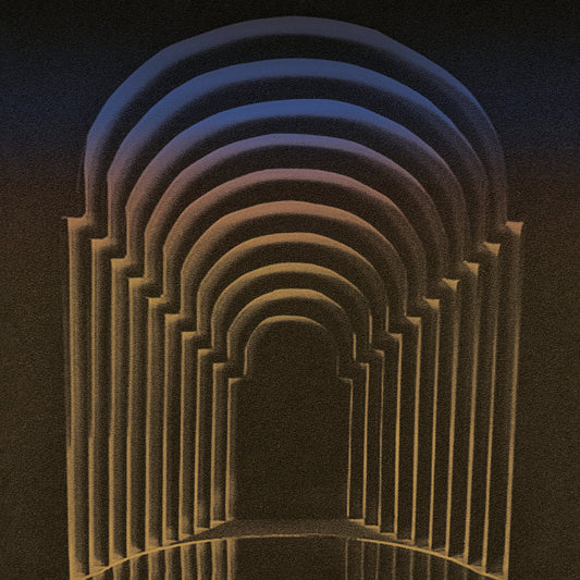 TWIN DRUGS • In Now Less Than Ever • LP