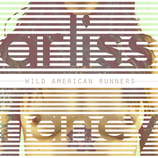 ARLISS NANCY • Wild American Runners • LP