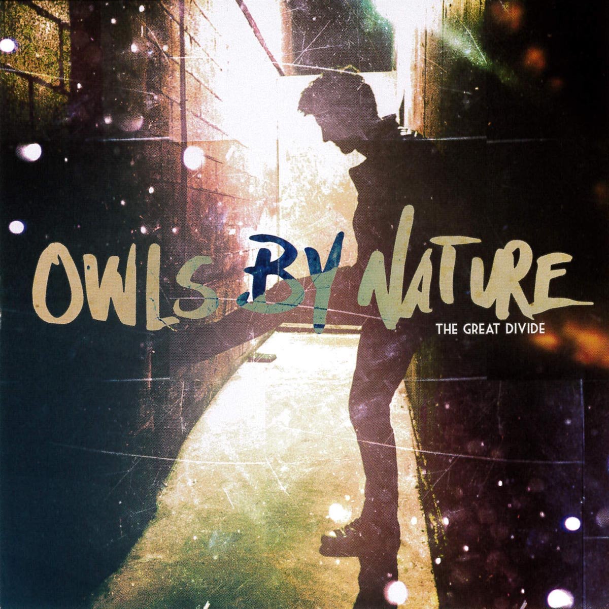 OWLS BY NATURE • The Great Divide • LP